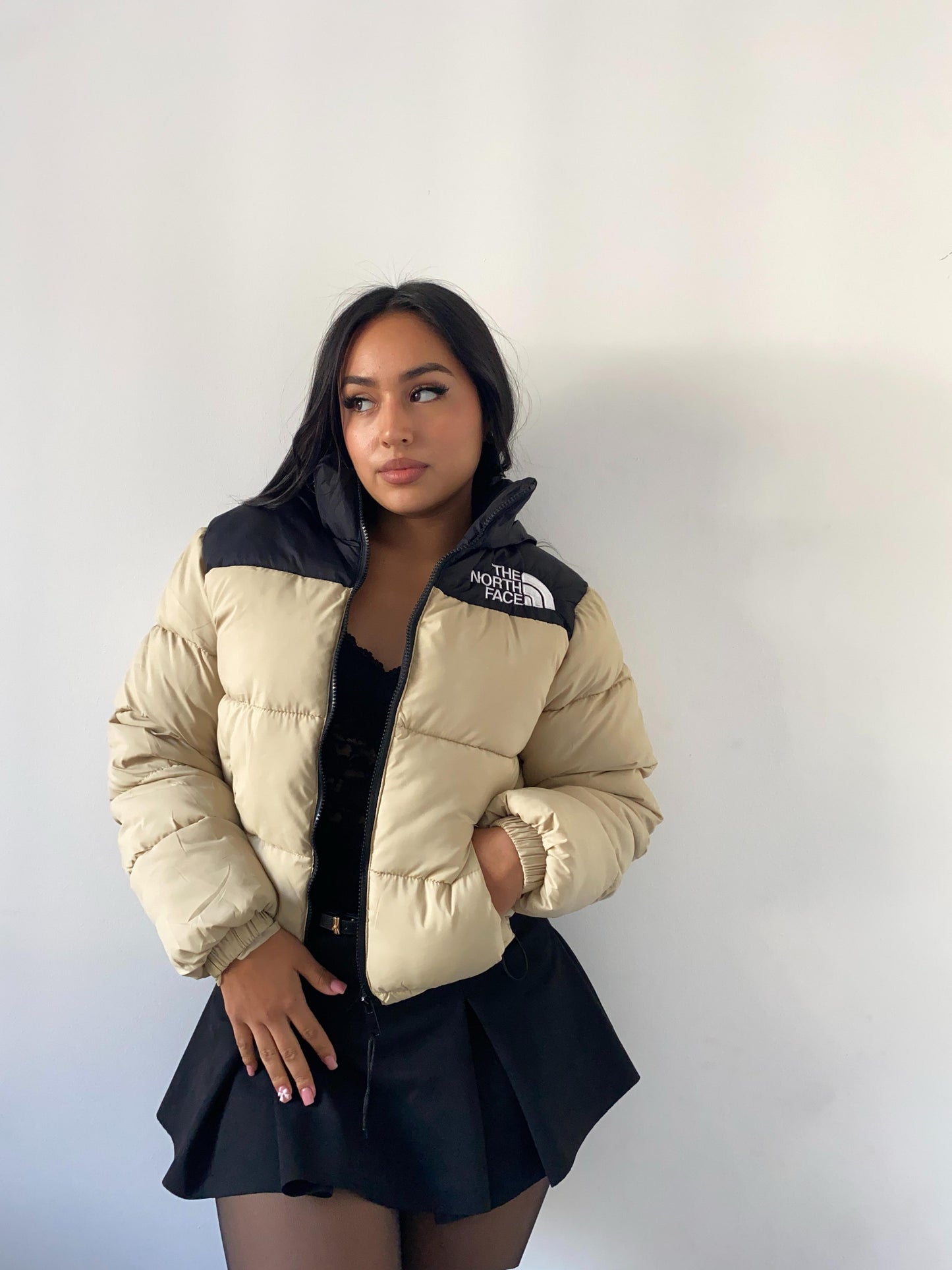Puffa north face